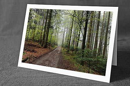 A5-Fotokarte/Klappkarte mit hochwertigem Papierabzug, Einlageblatt und Umschlag. Fototitel: Waldweg (Klappkarte, Kunstkarte)