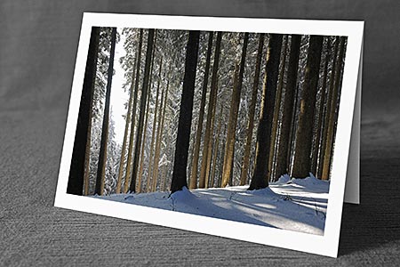 A5-Fotokarte/Klappkarte mit hochwertigem Papierabzug, Einlageblatt und Umschlag. Fototitel: Wald im Winter (Klappkarte, Kunstkarte)