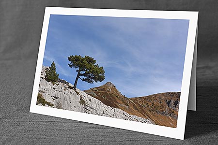 A5-Fotokarte/Klappkarte mit hochwertigem Papierabzug, Einlageblatt und Umschlag. Fototitel: Einzelbaum in Karstlandschaft (Klappkarte, Kunstkarte)