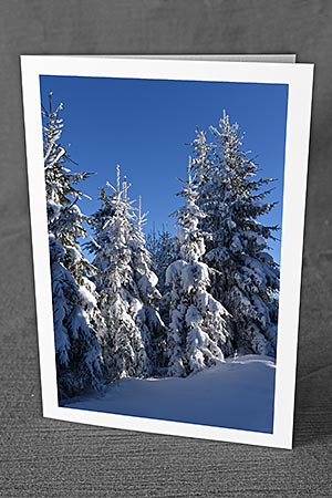 A5-Fotokarte/Klappkarte mit hochwertigem Papierabzug, Einlageblatt und Umschlag. Fototitel: Weihnachtskarte Verschneiter Tannenwald (Klappkarte, Kunstkarte)