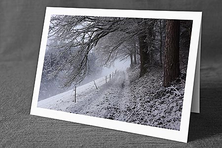 A5-Fotokarte/Klappkarte mit hochwertigem Papierabzug, Einlageblatt und Umschlag. Fototitel: Weg am Waldrand (Klappkarte, Kunstkarte)