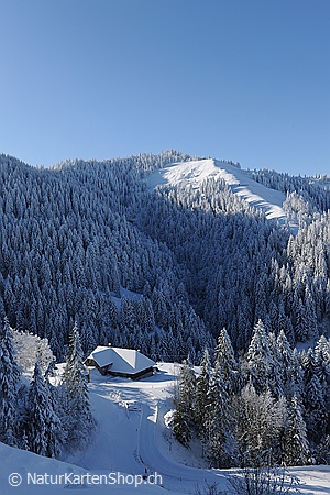 A5-Fotokarte/Klappkarte mit hochwertigem Papierabzug, Einlageblatt und Umschlag. Fototitel: Weihnachtskarte Winterwald (Klappkarte, Kunstkarte)