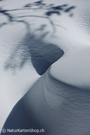 A5-Fotokarte/Klappkarte mit hochwertigem Papierabzug, Einlageblatt und Umschlag. Fototitel: Schattenwurf auf Schneeoberfläche (Klappkarte, Kunstkarte)