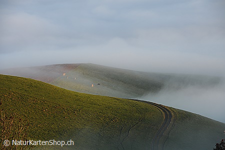 A5-Fotokarte/Klappkarte mit hochwertigem Papierabzug, Einlageblatt und Umschlag. Fototitel: Abschiedskarte Weg in Hügellandschaft (Klappkarte, Kunstkarte)