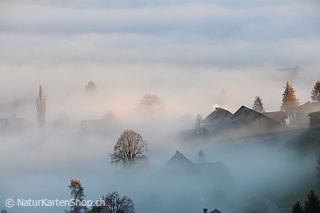 A5-Fotokarte/Klappkarte mit hochwertigem Papierabzug, Einlageblatt und Umschlag. Fototitel: Trauerkarte Nebelgrenze (Klappkarte, Kunstkarte)