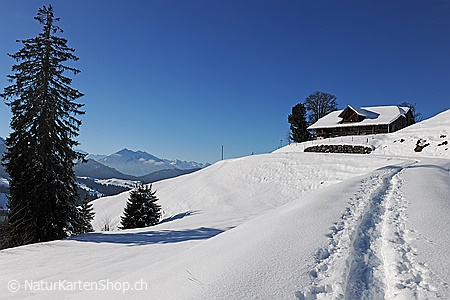 A5-Fotokarte/Klappkarte mit hochwertigem Papierabzug, Einlageblatt und Umschlag. Fototitel: Neujahrskarte Spur im Schnee (Klappkarte, Kunstkarte)