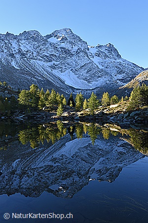 A5-Fotokarte/Klappkarte mit hochwertigem Papierabzug, Einlageblatt und Umschlag. Fototitel: Kunstkarte Naturfotografie (Klappkarte, Kunstkarte)