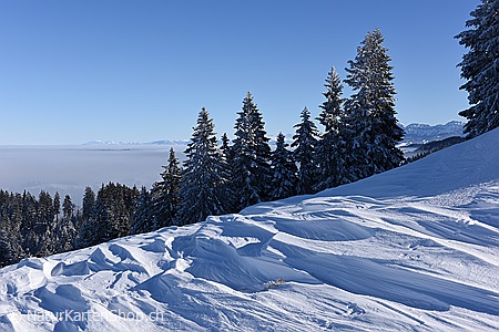 A5-Fotokarte/Klappkarte mit hochwertigem Papierabzug, Einlageblatt und Umschlag. Fototitel: Schneeverwehungen, leicht verschneite Tannen und Nebelmeer (Klappkarte, Kunstkarte)