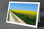 Fotokarte C134517: Frühlingsbild mit Weg