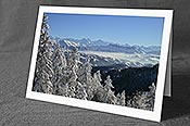 Fotokarte F018342: Winterstimmung mit tief verschneiten Tannen vor Alpenpanorama