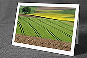 Fotokarte F057819: Frühlingsfarben in der Landschaft