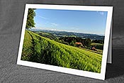 Fotokarte: Gerstenfeld und Berner Alpen