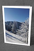 Fotokarte F073763: Weihnachtskarte Verschneiter Baum und Wald
