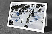 Fotokarte F094171: Durch Wächten geformte Schneelandschaft in lichtem Bergwald