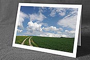 Fotokarte F096245: Glückwunschkarte mit Weg