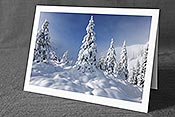 Fotokarte F103311: Weihnachtskarte Tief verschneite Tannen