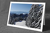 Fotokarte F104616: Verschneiter Tannenwald