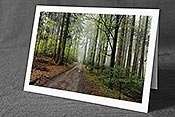 Fotokarte F105811: Waldweg