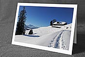 Fotokarte: Neujahrskarte Spur im Schnee