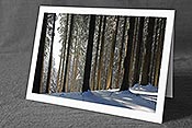 Fotokarte: Wald im Winter