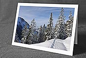 Fotokarte F127289: Verschneiter Wald und Spur im Neuschnee