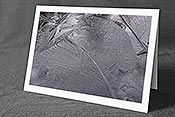 Fotokarte F142957: Formen auf dünner Eisschicht