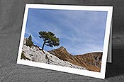 Fotokarte F143110: Einzelbaum in Karstlandschaft
