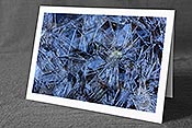 Fotokarte: Neujahrskarte Eiskristalle auf Wasseroberfläche