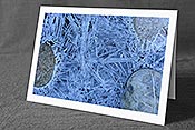 Fotokarte F144092: Kunstwerk aus der Natur