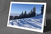 Fotokarte: Schneeverwehungen, leicht verschneite Tannen und Nebelmeer
