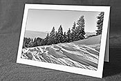 Fotokarte F144189_SW: Schneeverwehungen, leicht verschneite Tannen und Nebelmeer (Schwarz/Weiss)