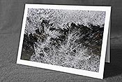Fotokarte F149603: Weihnachtskarte Eiskristalle