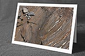 Fotokarte F154099: Fels und Steine