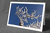 Fotokarte: Gefrorener Schnee