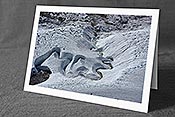 Fotokarte F161864: Spannende Formen in der Natur