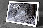 Fotokarte F176842: Weg am Waldrand