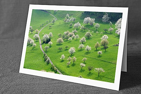 Foto aus der Natur.